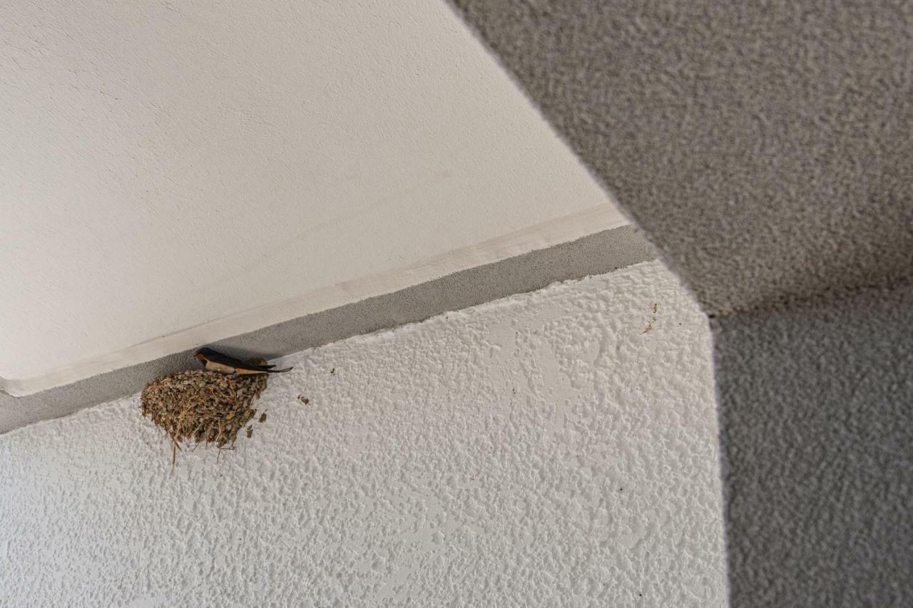 Aethrea Apartments Haráki Kültér fotó